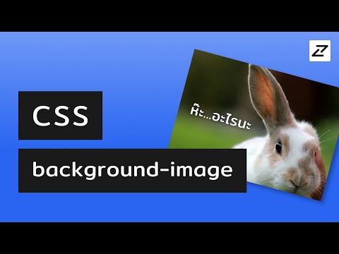 สอน CSS #08 - background-image - รูปพื้นหลังและเพื่อนฝูง