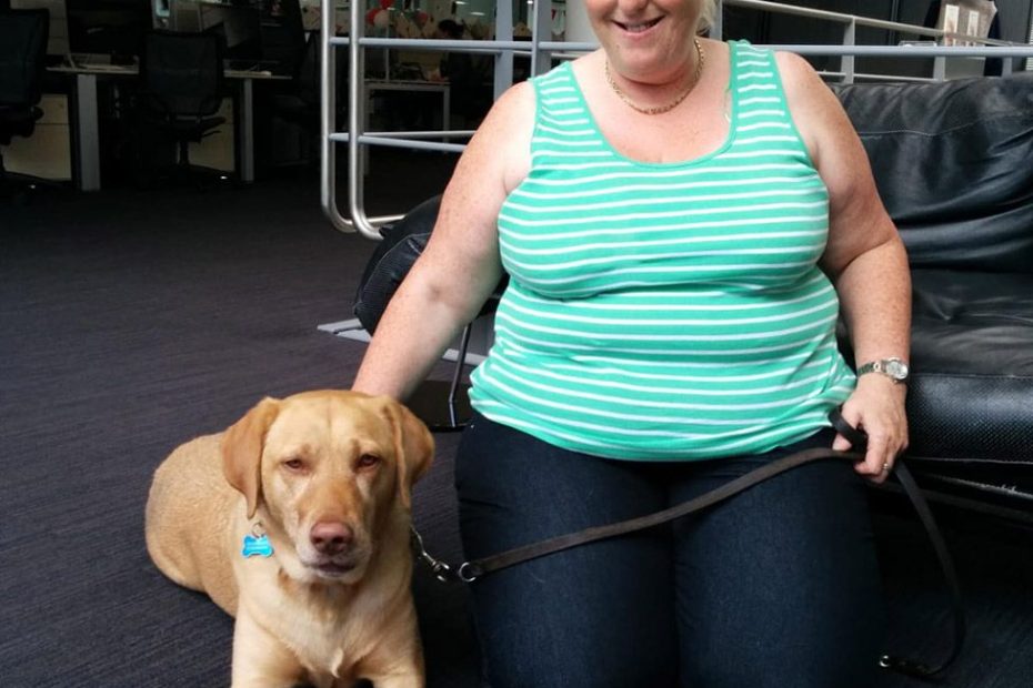 Guide Dog Shortage: The Blind People Who Train Their Own Guide Dogs - Bbc  News