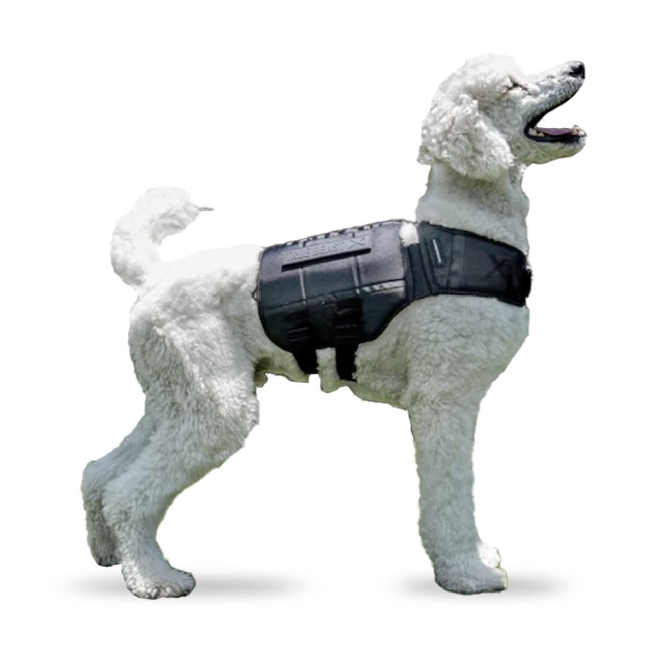 Amazon.Com : Xdog Weight Vest For Dogs: Build Muscle, Improve Performance,  Enhance Endurance, Support Mental Health And Overall Wellness. Provides  Warming, Cooling And Weighted Compression : Pet Supplies