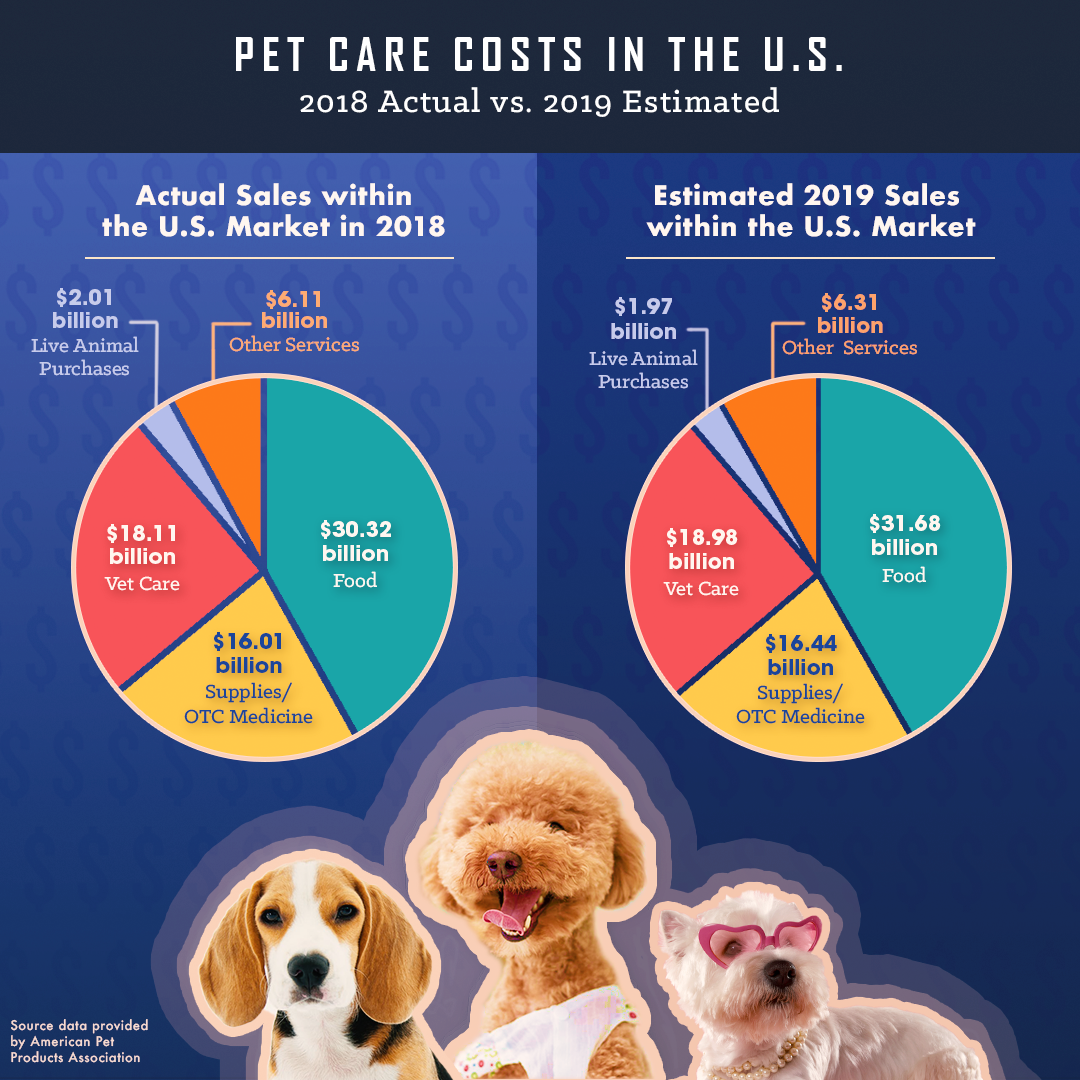 How Much Does It Really Cost To Adopt A Pet | Milk + Honey