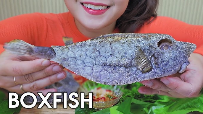 Asmr Steamed Boxfish With Kimchi, Exotic Food , Messy Chewy Eating Sounds |  Linh-Asmr - Youtube