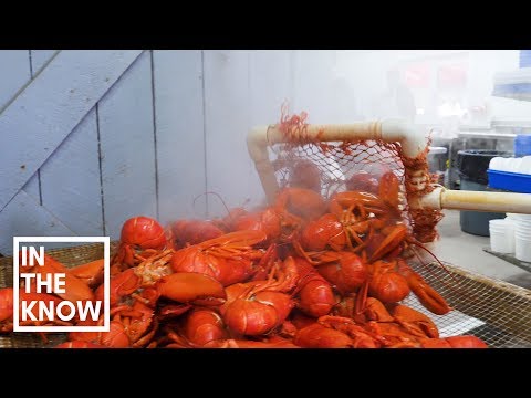 Old-school seafood shack in Maine steams 1,000 pounds of lobster daily