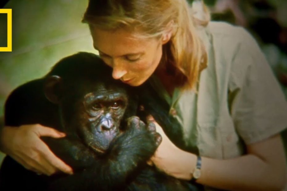 Dian Fossey And Jane Goodall Changed How We Saw Primates. These New Movies  Change How We See Them | Pbs Newshour