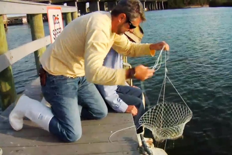 How To Catch Blue Crabs - Youtube