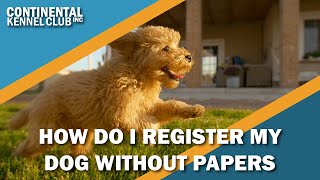 How Can I Register A Dog Without Papers? - Youtube