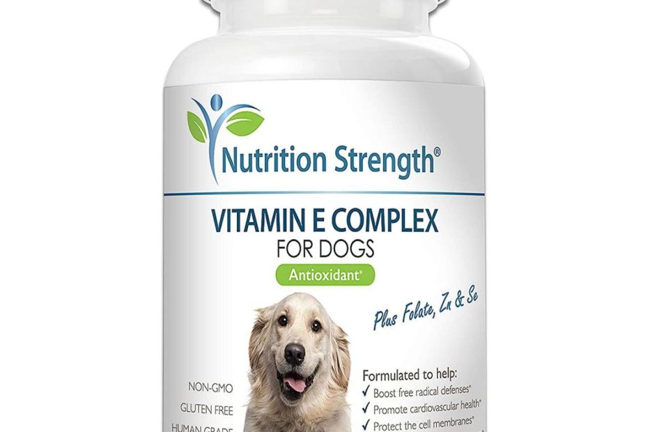 Do Dogs Need Vitamin E? Everything You Need To Know About The Nutrient  Supplement