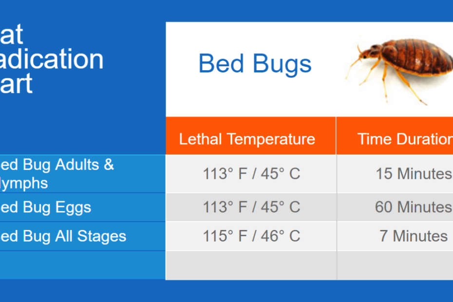 What Do Bed Bugs Hate? The Ultimate Bed Bug Demolition Guide